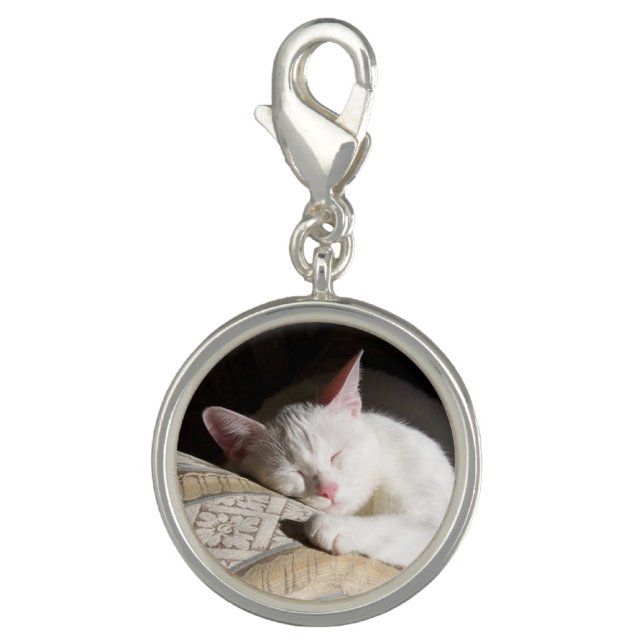 Custom Pet Memorial Photo Charm (Front)