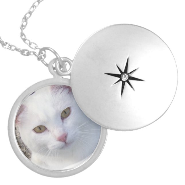 Custom Pet Memorial Photo Locket (Front)