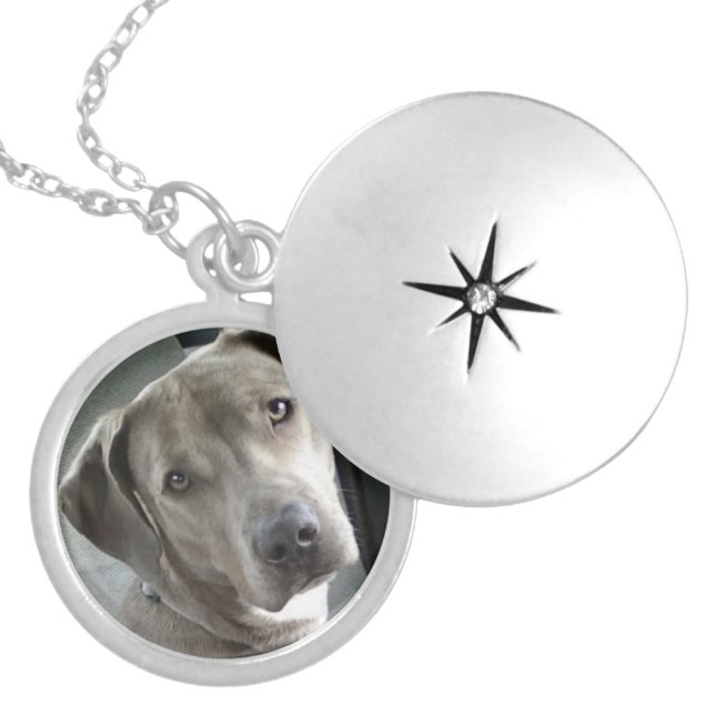 Custom Pet Memorial Photo Locket - Silver Necklace (Front)
