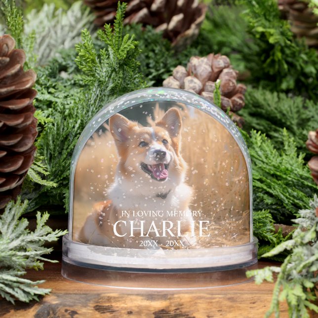 Custom Pet Memorial Photo with Name Snow Globe (Winter)