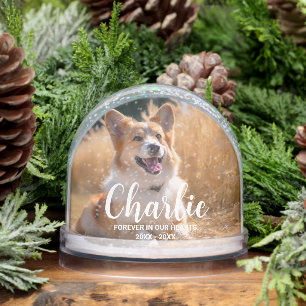 Custom Pet Memorial Photo with Name Snow Globe
