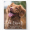 Custom Pet Memorial Sympathy Pet Loss Photo 