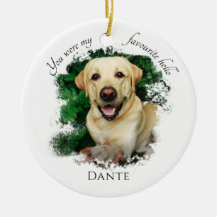 Custom Pet Memorial You Were My Favorite Hello   Ceramic Ornament