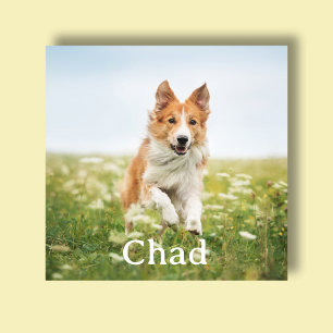 Custom Pet Modern Minimalist Acrylic Photo Tile