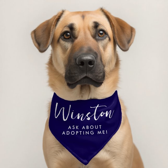 Custom Pet Name Dark Blue Adopt me Dog Rescue Bandana Collar (Dog 2)
