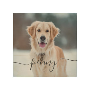 Custom Pet Name Photo Elegant Script Dog Wood Wall Art