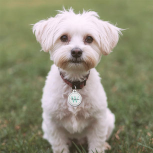 Custom Pet Name Teal Monogram White ID Tag