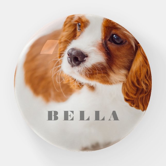 Custom Pet Name Typography and Pet Photo Paperweight (Front)