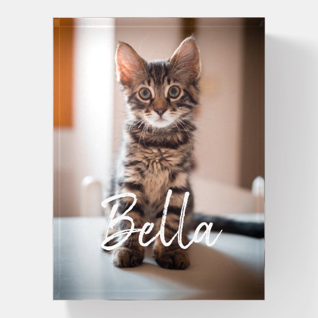 Custom Pet Name Typography and Photo Paperweight (Vertical)