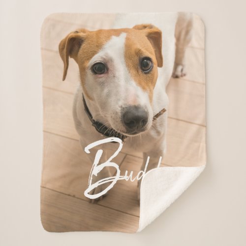 Custom Pet Name Typography and Photo Sherpa Blanket