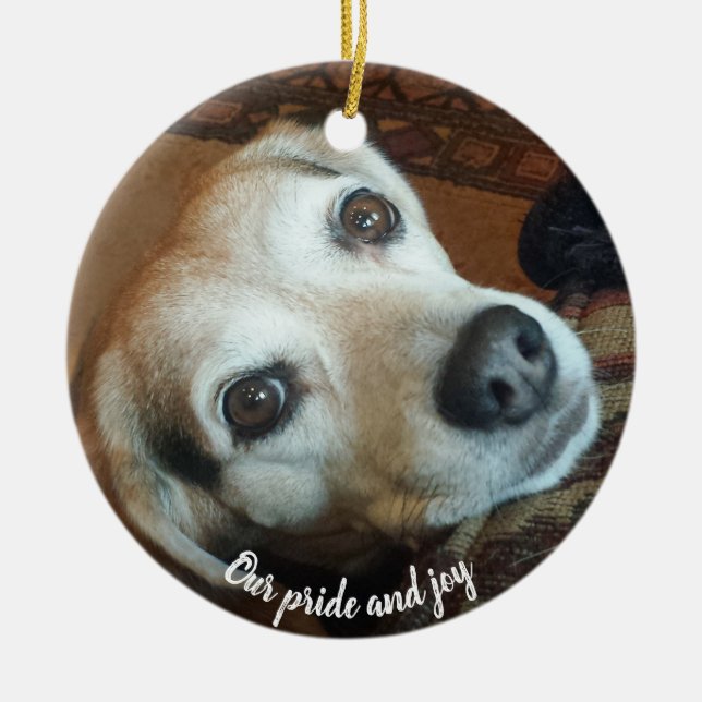 Custom Pet Photo 2 sided Pride and Joy Ceramic Ornament (Front)