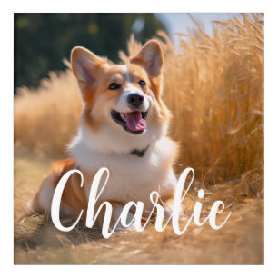 Custom Pet Photo Acrylic Print