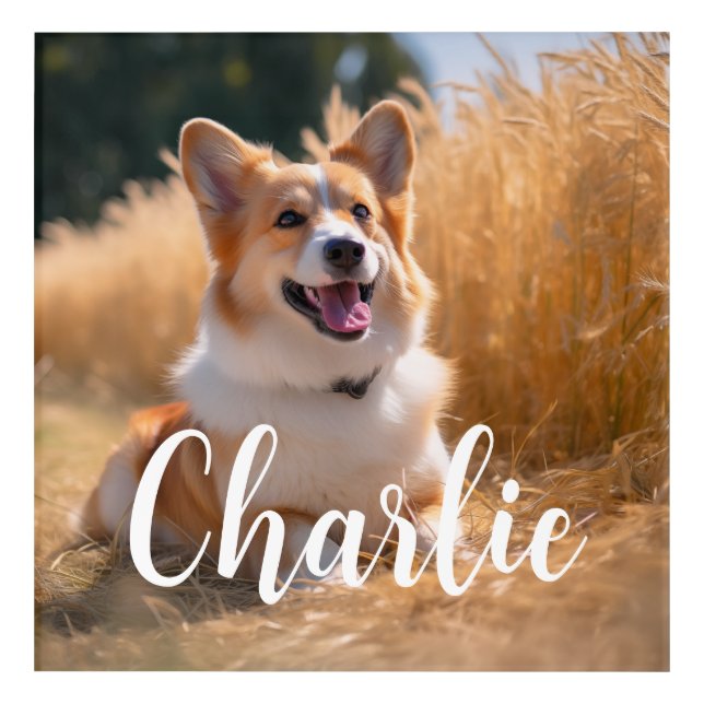 Custom Pet Photo Acrylic Print (Front)