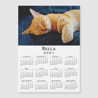 Custom Pet Photo and Name 2021 Calendar