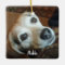 Custom Pet Photo and Name 2 sided Christmas