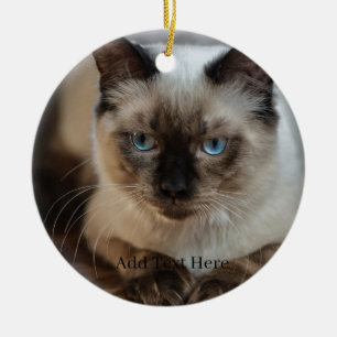 Custom Pet Photo and Name Ceramic Ornament