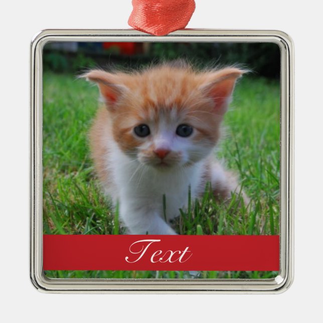 Custom Pet Photo and name or date Metal Ornament (Front)