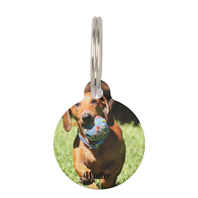 Custom Pet Photo and Text   ID Tag (Front)