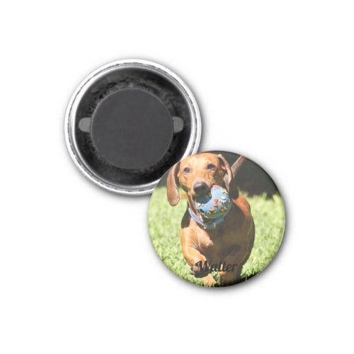 Custom Pet Photo and Text   Magnet