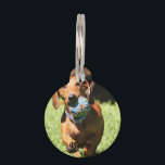 Custom Pet Photo and Text   Pet ID Tag<br><div class="desc">Custom Pet Photo and Text Pet ID tag</div>