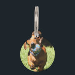 Custom Pet Photo and Text   Pet ID Tag<br><div class="desc">Custom Pet Photo and Text Pet ID tag</div>