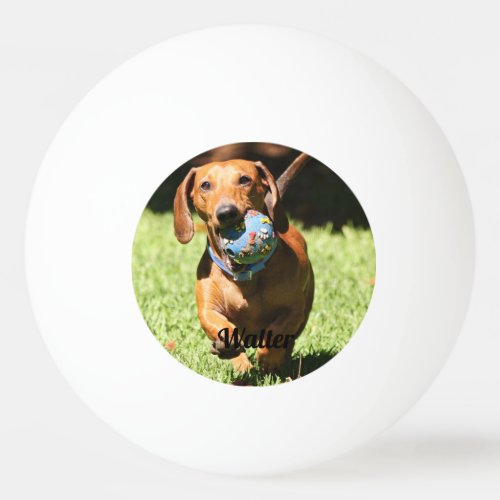 Custom Pet Photo and Text   Ping Pong Ball
