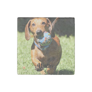 Custom Pet Photo and Text   Stone Magnet