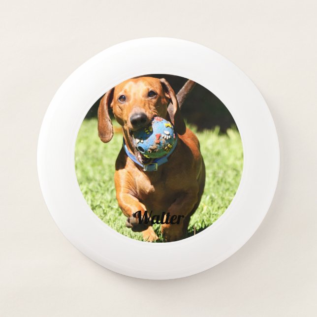 Custom Pet Photo and Text   Wham-O Frisbee (Front)
