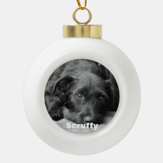 Custom pet photo ball ornament