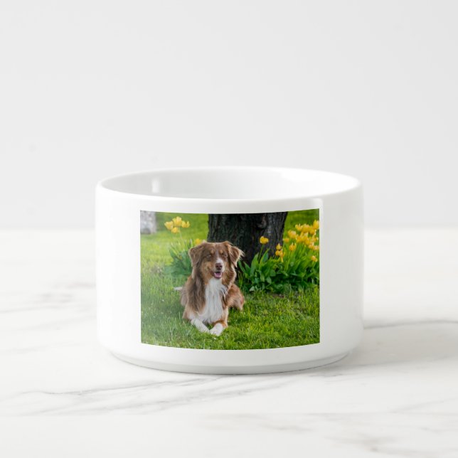 Custom Pet Photo Bowl (Center)