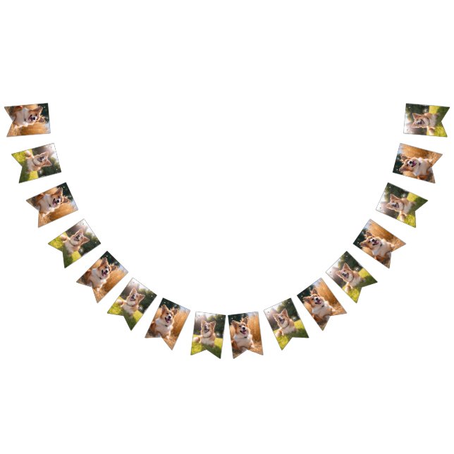 Custom Pet Photo Bunting Flags (All)