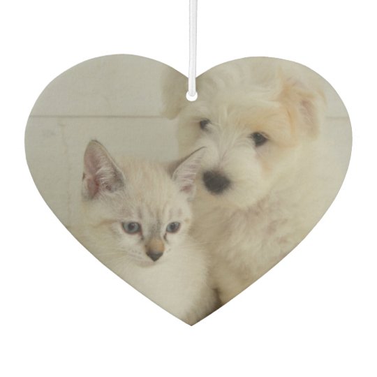 Custom Pet Photo Car Air Freshener