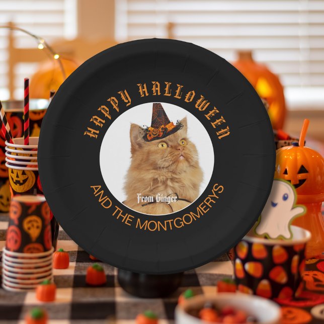 Custom Pet Photo Cat Lover Orange Black Halloween Paper Plates (Creator Uploaded)