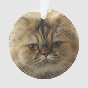 CUSTOM PET PHOTO CAT ORNAMENT