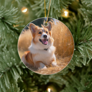 Custom Pet Photo Ceramic Ornament