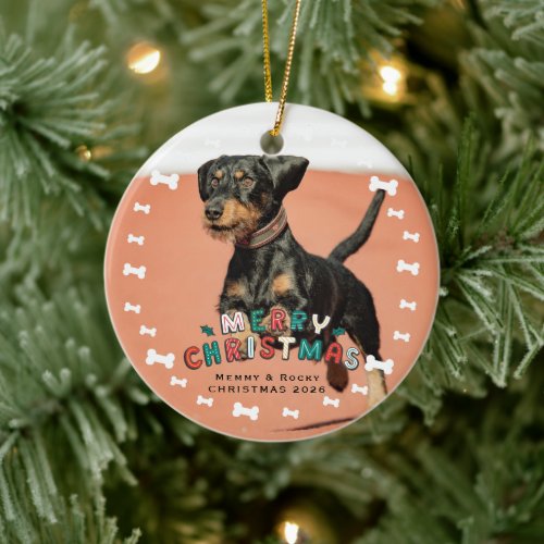Custom Pet Photo