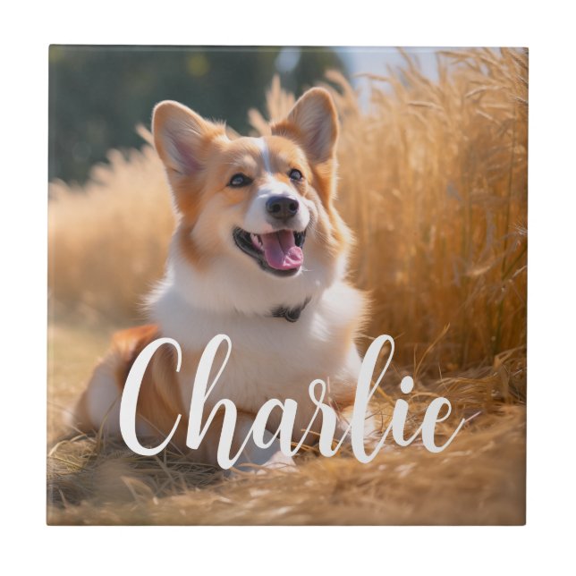 Custom Pet Photo Ceramic Tile (Front)
