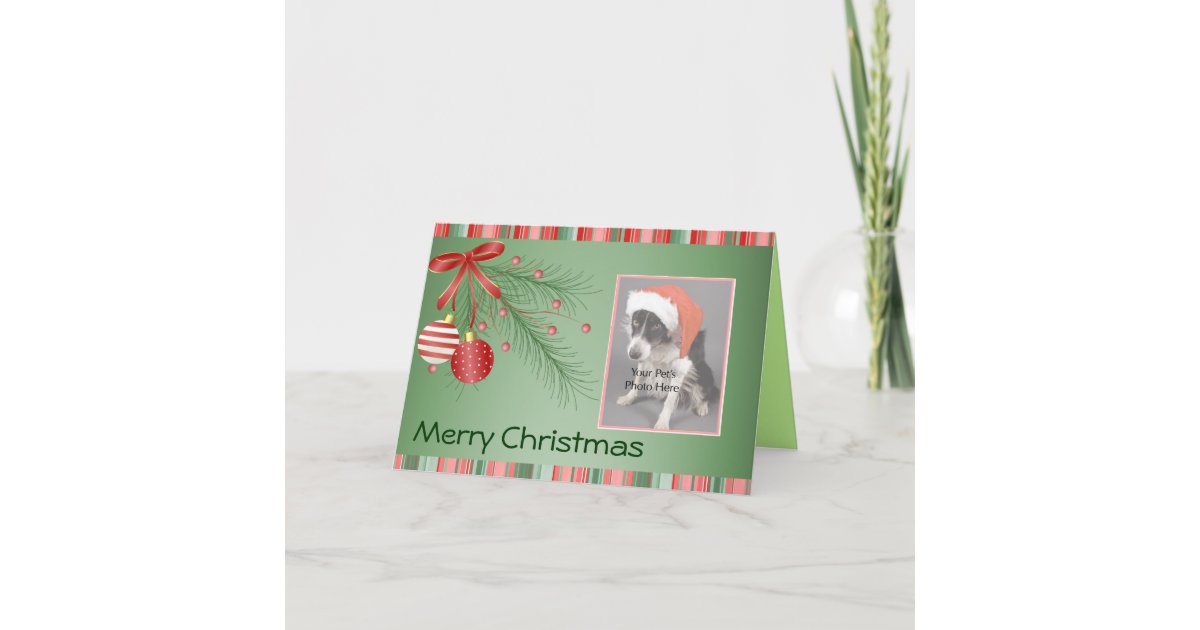 Custom Pet Photo Christmas cards | Zazzle.com