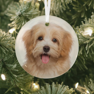 Custom Pet Photo Christmas Holiday Glass Ornament