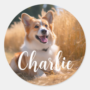 Custom Pet Photo Classic Round Sticker