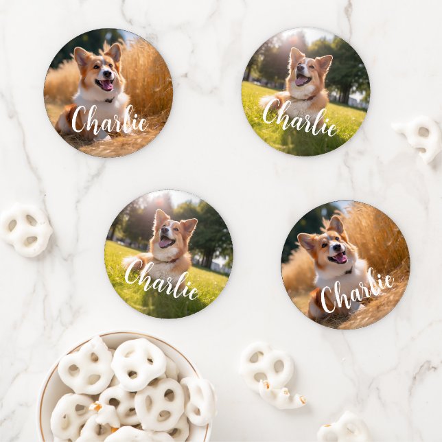 Custom Pet Photo Coaster Set (In Situ)