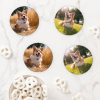 Custom Pet Photo