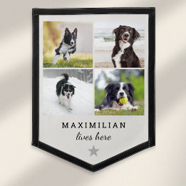 Custom Pet Photo Collage Dog Lives Here Pennant