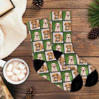 Custom Pet Photo Collage Dog Lover Socks by Plush_Paper at Zazzle
