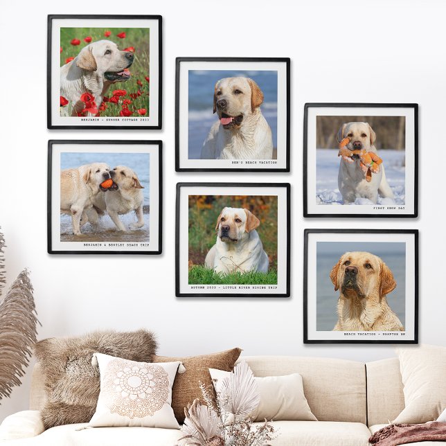 Custom Pet Photo Collage Peel & Stick Wall Gallery Peel And Stick Photo Tile (Creator Uploaded)