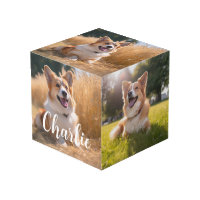 Custom Pet Photo