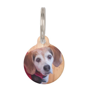 Custom Pet Photo Dog Cat Cute Pet ID Tag