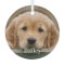 Custom Pet Photo Dog Lover Modern Simple  Keepsake