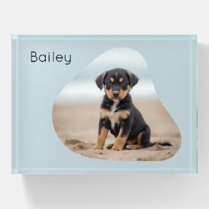 Custom Pet Photo Dog Name Paperweight