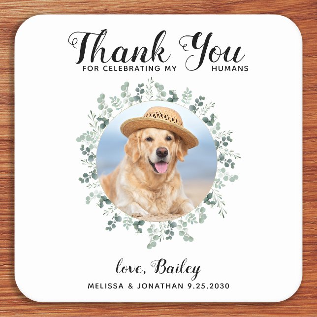 Custom Pet Photo Dog Wedding Eucalyptus Thank You Square Paper Coaster (Creator Uploaded)